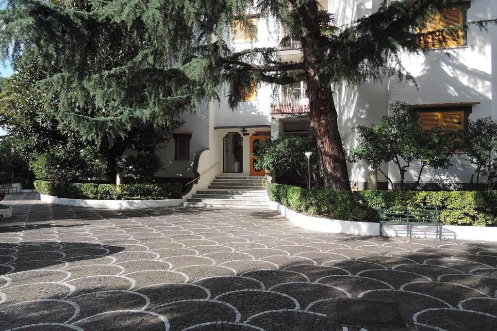 Virginia'S Guest House 索伦托 外观 照片
